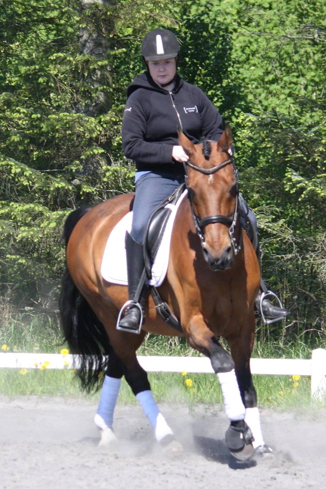 Skønneste Prunse billede 36