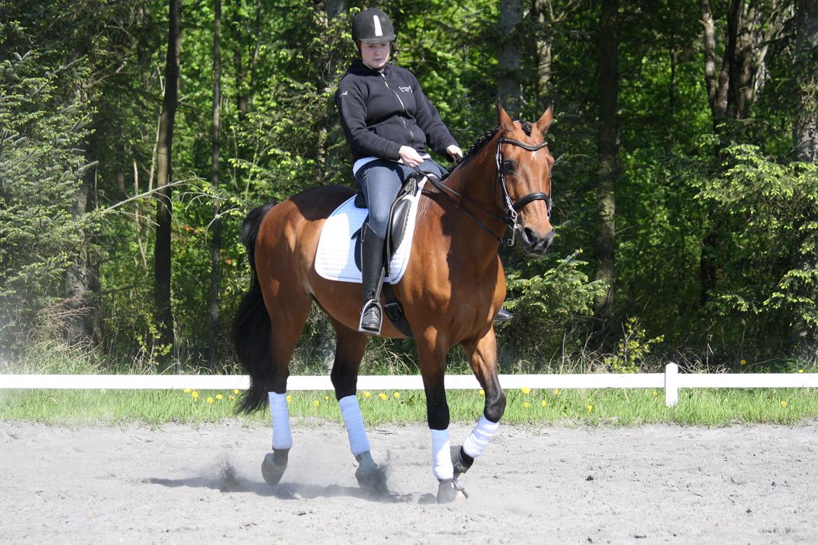 Skønneste Prunse billede 37