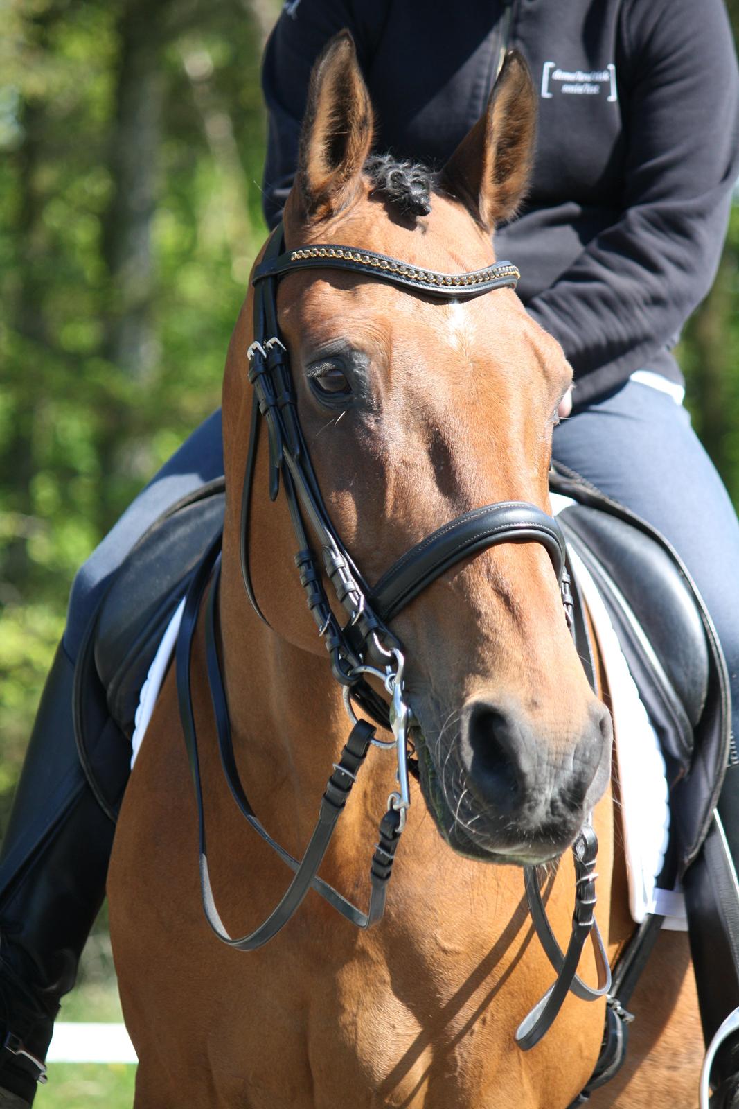 Skønneste Prunse billede 38