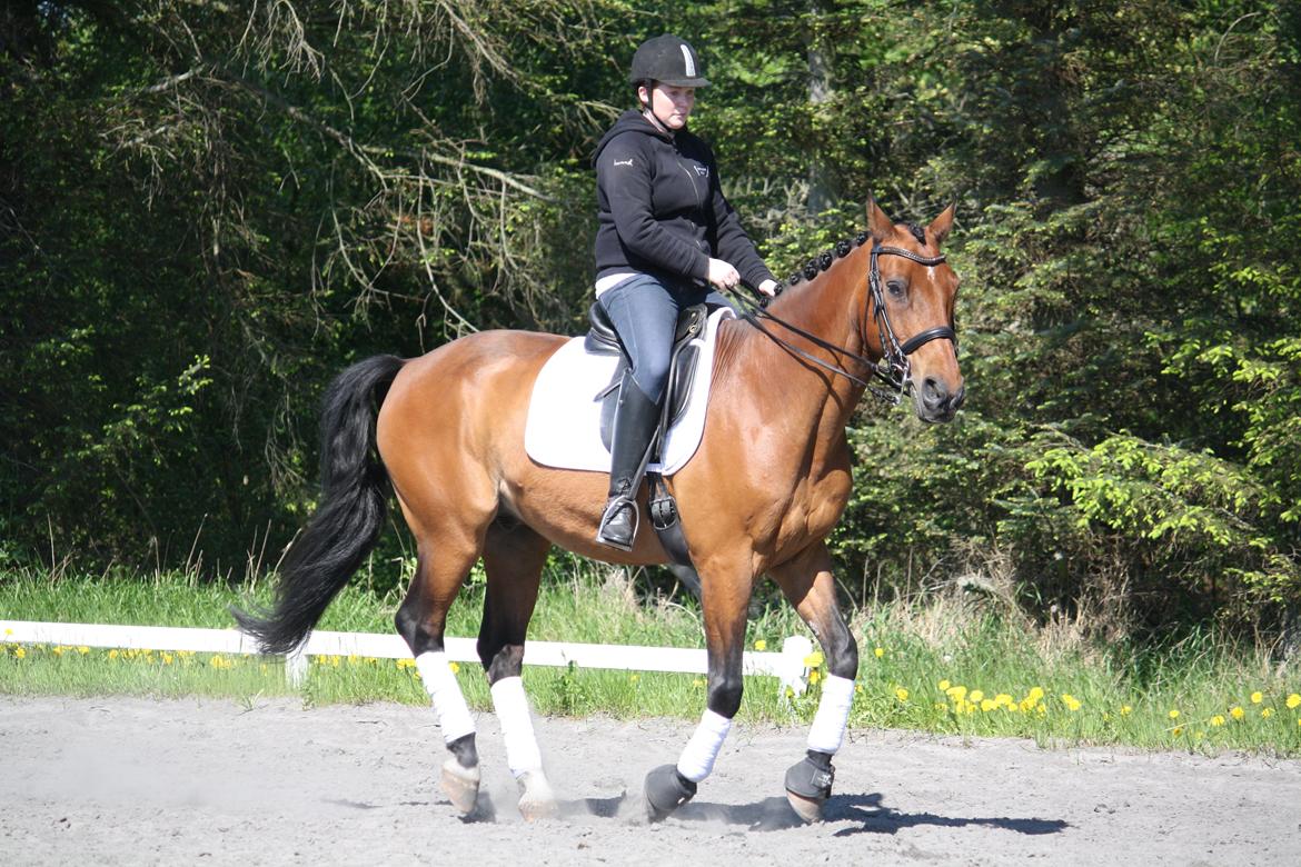 Skønneste Prunse billede 39