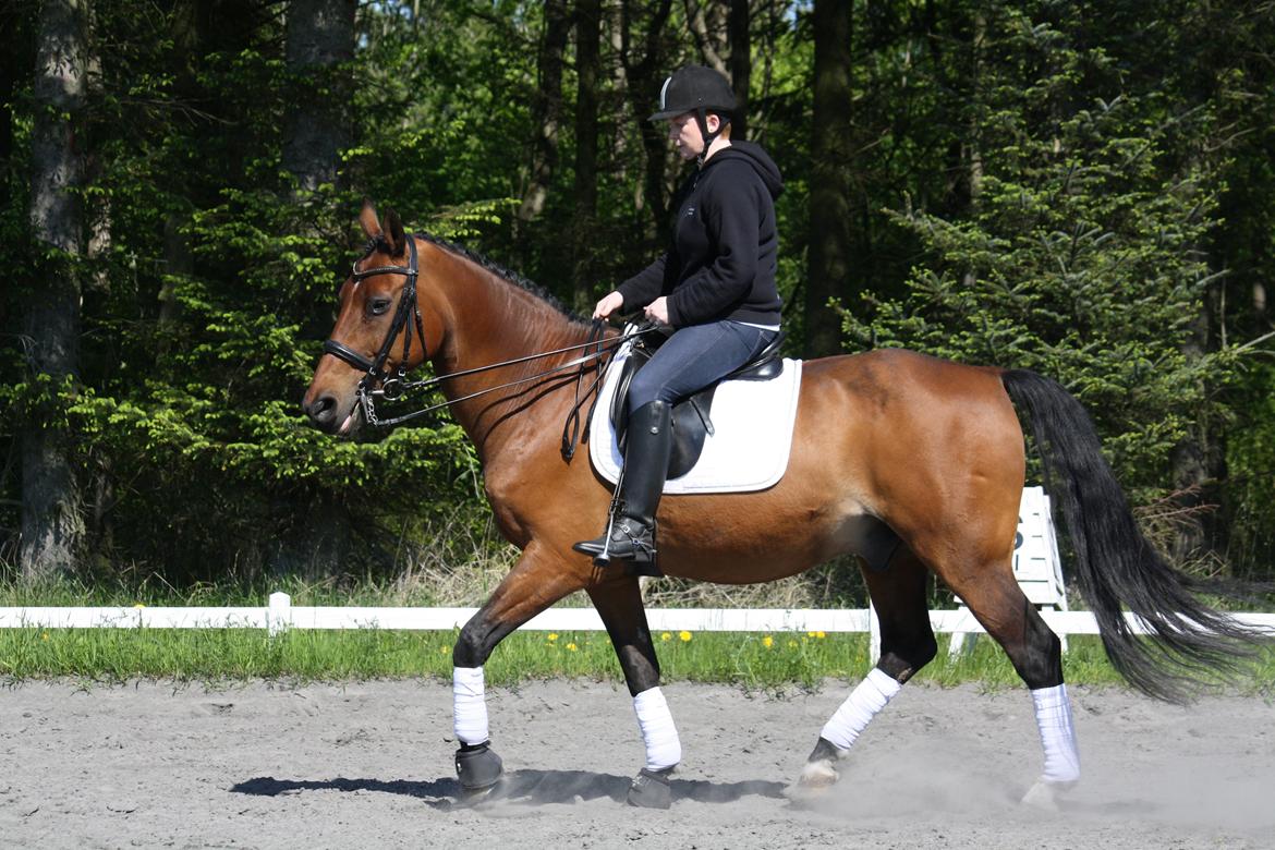 Skønneste Prunse billede 40