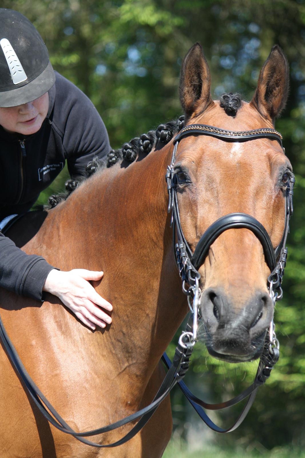 Skønneste Prunse billede 41