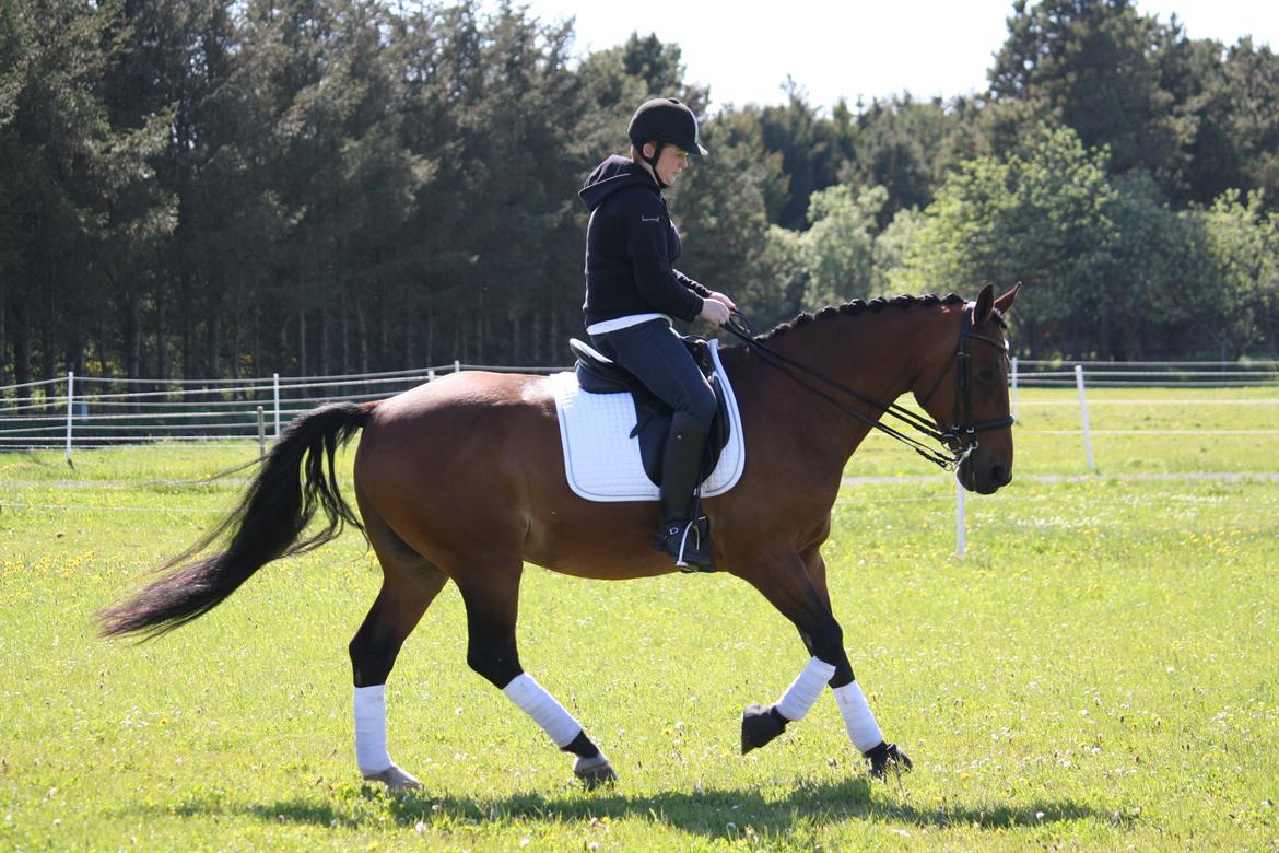 Skønneste Prunse billede 43