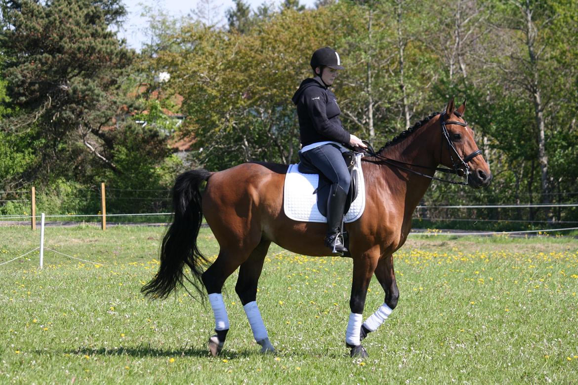 Skønneste Prunse billede 44