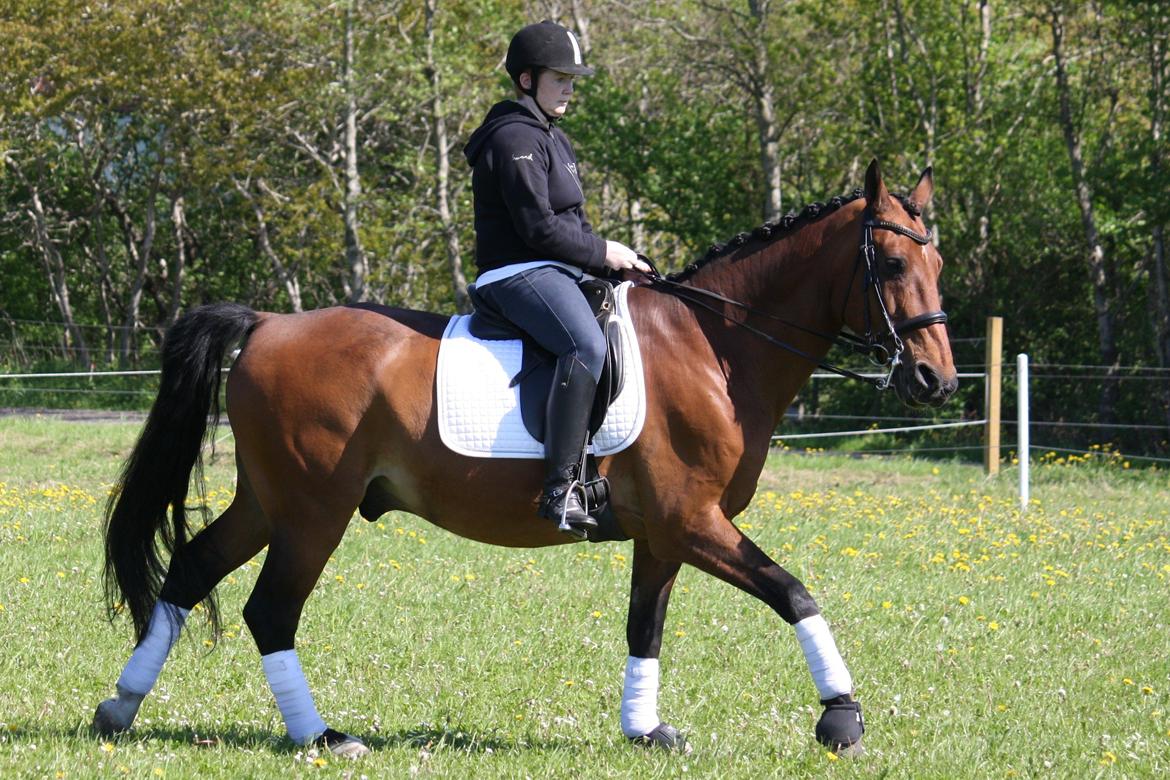 Skønneste Prunse billede 45