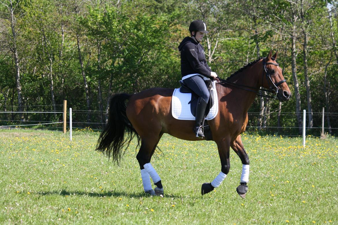 Skønneste Prunse billede 46