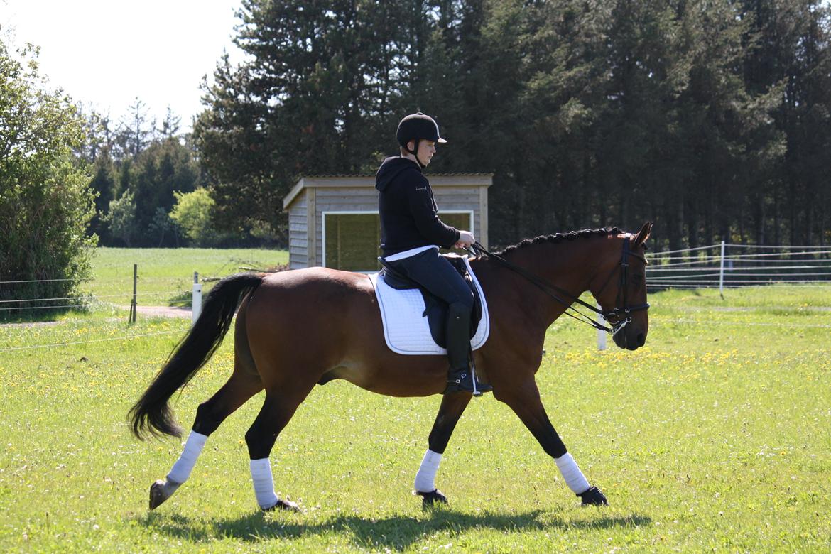 Skønneste Prunse billede 47