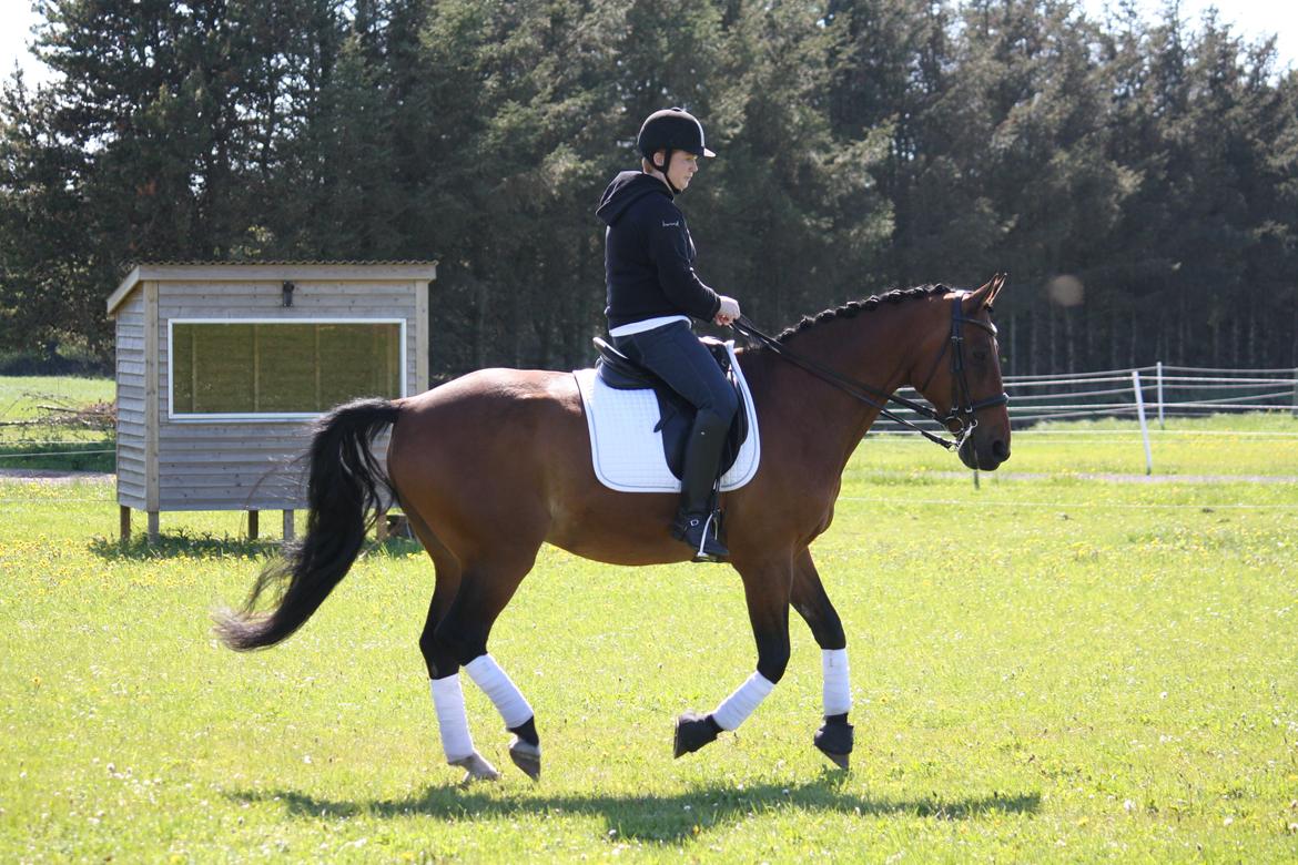 Skønneste Prunse billede 48