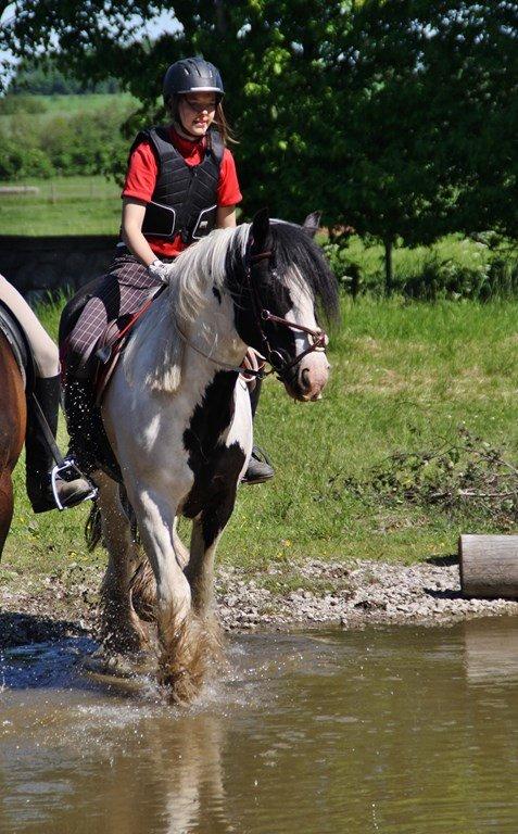 Ice og jeg på terrænbanen i Haslev med Brøderup Ungdomsskole billede 1