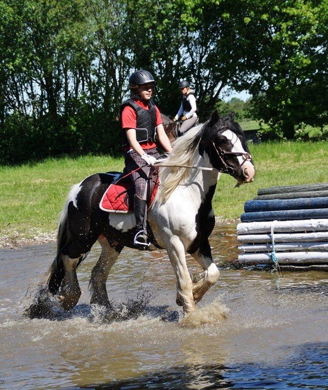 Ice og jeg på terrænbanen i Haslev med Brøderup Ungdomsskole billede 2