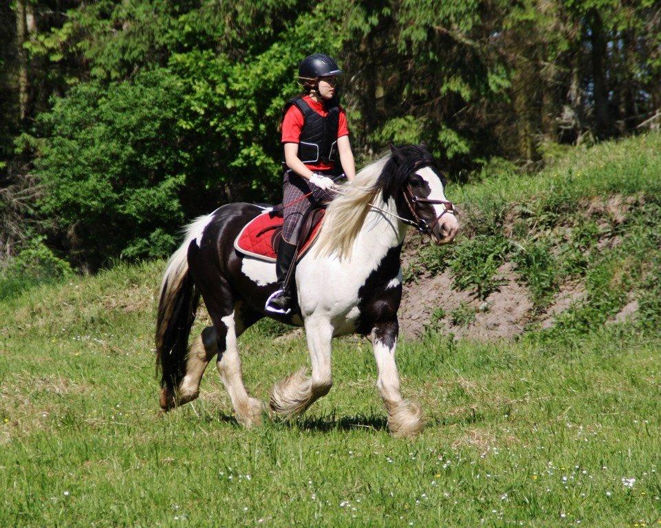Ice og jeg på terrænbanen i Haslev med Brøderup Ungdomsskole billede 3