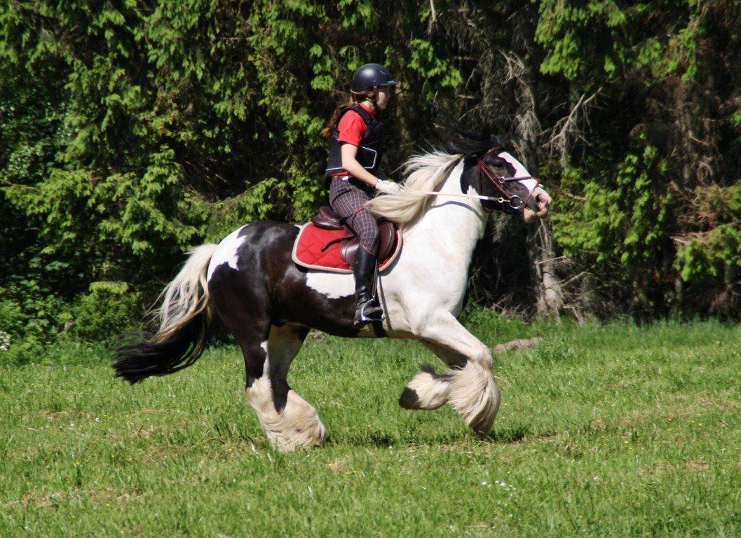 Ice og jeg på terrænbanen i Haslev med Brøderup Ungdomsskole billede 4