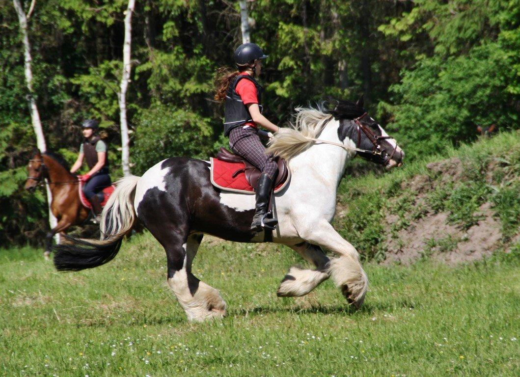 Ice og jeg på terrænbanen i Haslev med Brøderup Ungdomsskole billede 5