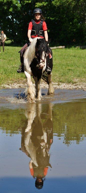 Ice og jeg på terrænbanen i Haslev med Brøderup Ungdomsskole billede 6