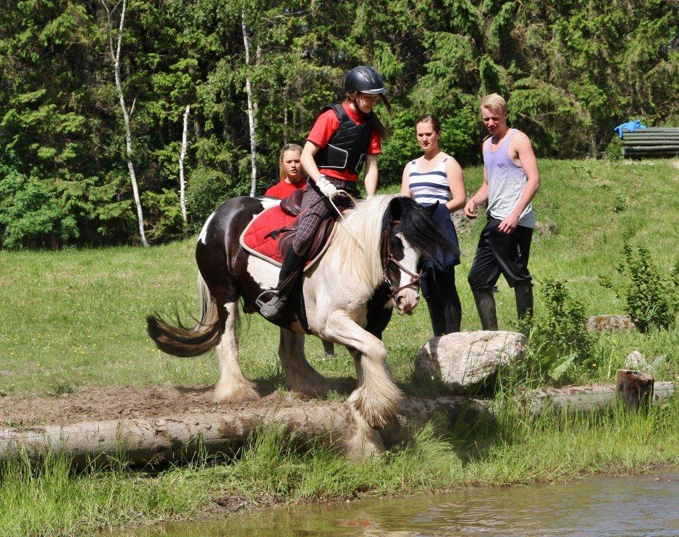 Ice og jeg på terrænbanen i Haslev med Brøderup Ungdomsskole billede 8