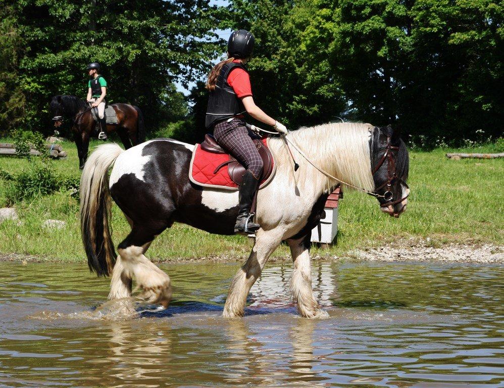 Ice og jeg på terrænbanen i Haslev med Brøderup Ungdomsskole billede 9