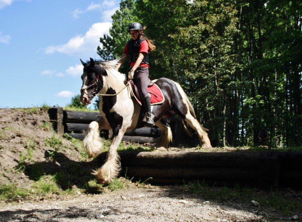 Ice og jeg på terrænbanen i Haslev med Brøderup Ungdomsskole billede 10