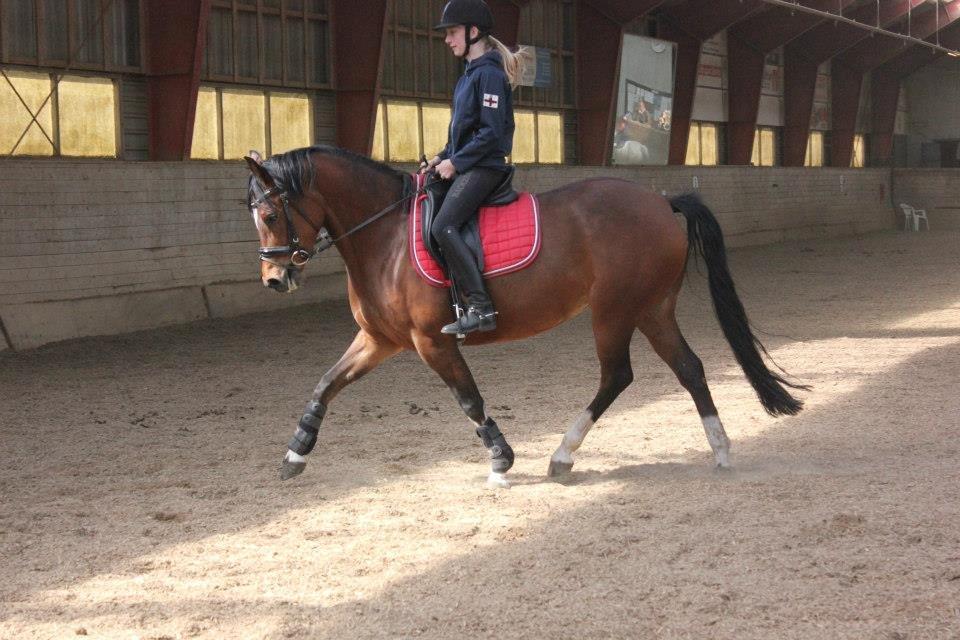 Kavsgaards Geisha billede 9