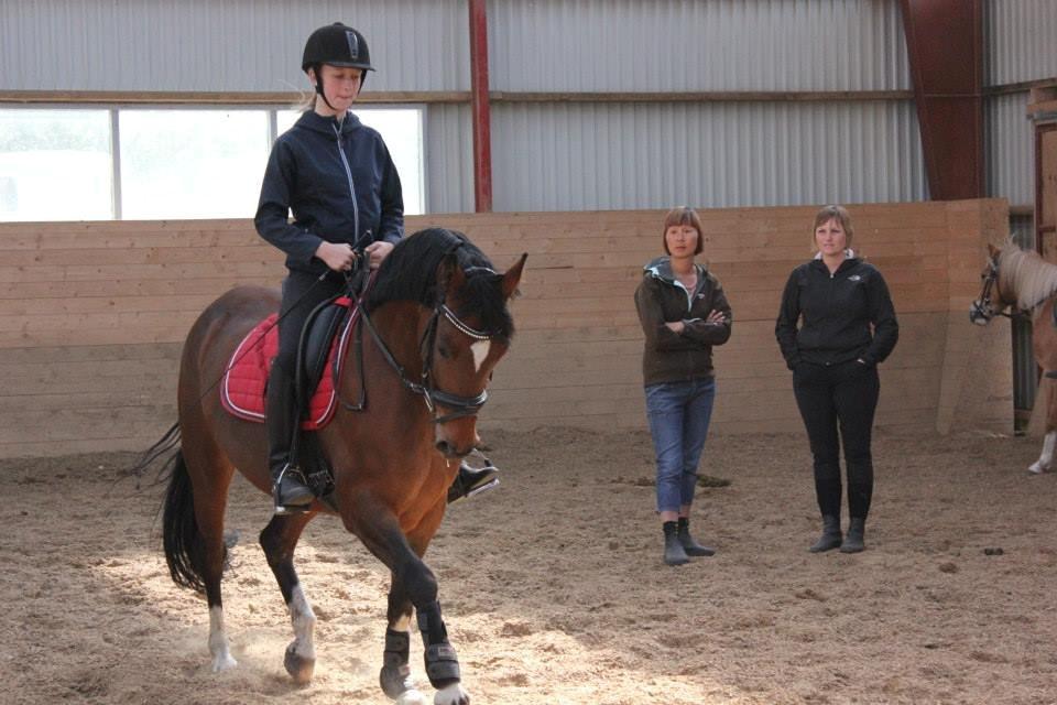 Kavsgaards Geisha billede 1