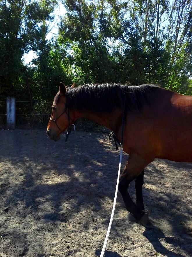 Vores billedebog. - Longering i hjemmelavet cordeo <3 billede 84