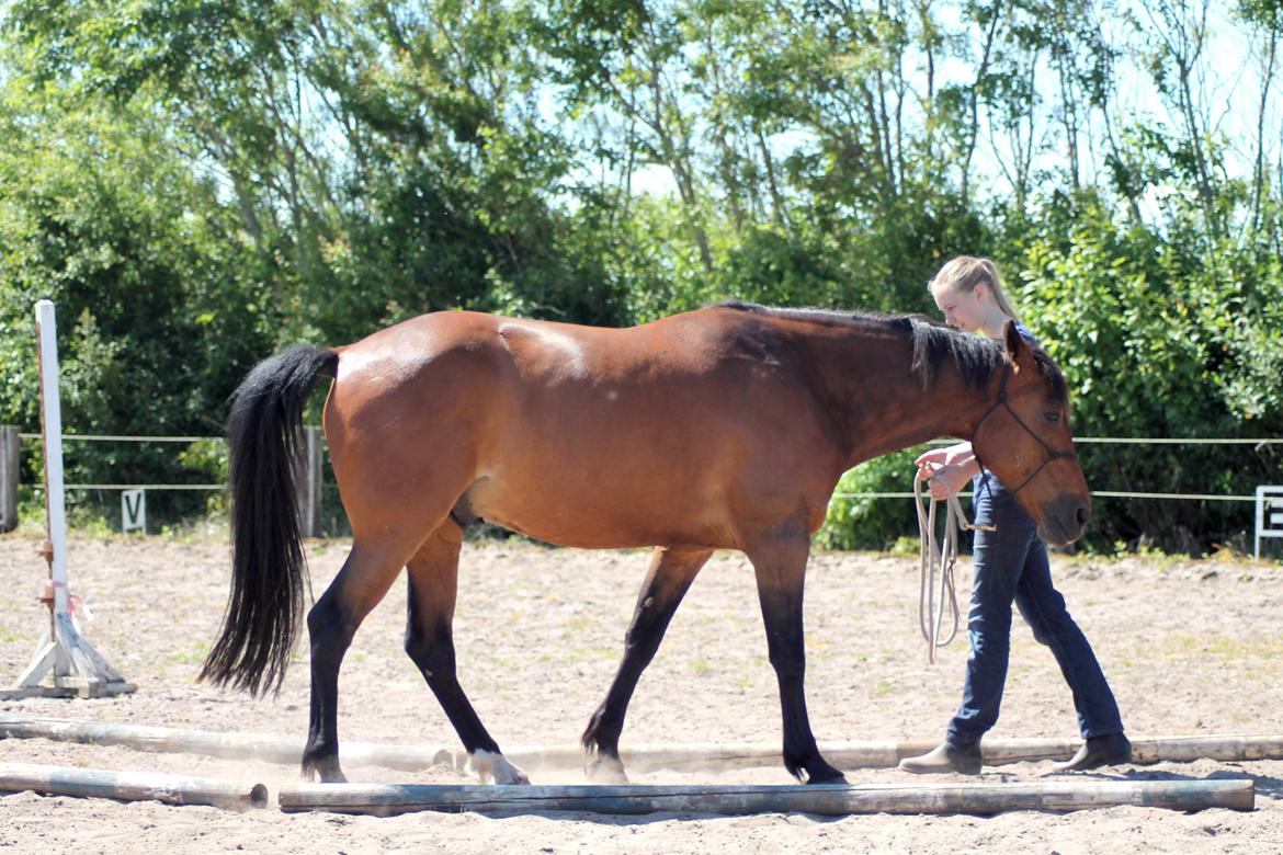 Vores billedebog. - Bakke for stemmekommando, gennem bomme <3 billede 85