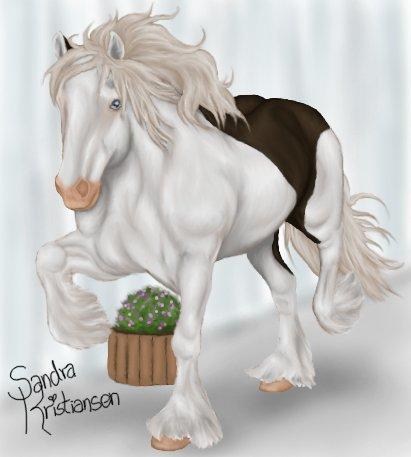 Trold, den fiktive hest! - Her er Trold til fotoshoot. Han er blevet vasket, trimmet, børstet, poleret og det hele. Men han er ikke let at få billeder af. Først forsøgte han at æde gardinerne og blomsterne, da han accepterede det ikke var tilladt, løb han lidt og derefter stod han bare og så uforstående ud :) billede 7