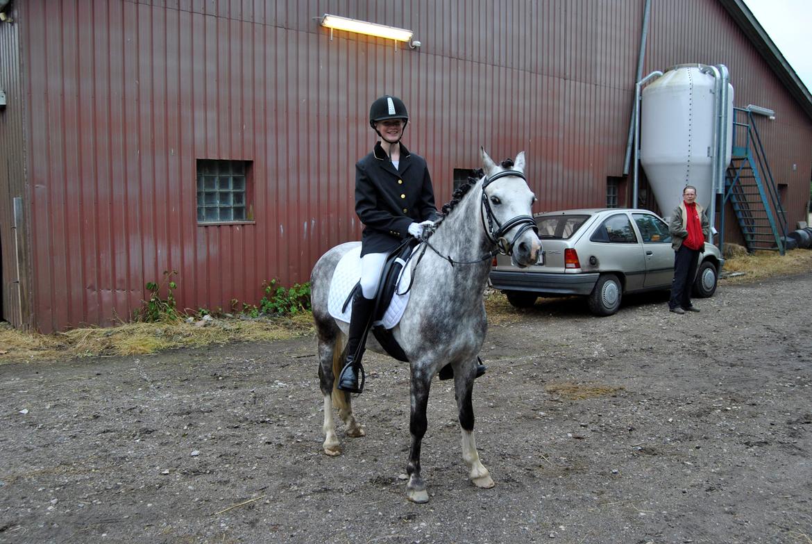 Louise Gregersen & Korreborgs Barolo til dressur stævne. TIL SALG billede 4