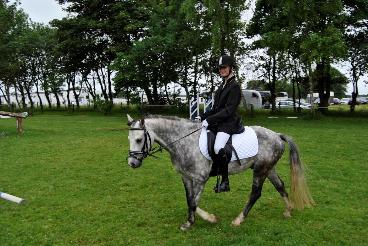 Louise Gregersen & Korreborgs Barolo til dressur stævne. TIL SALG billede 7