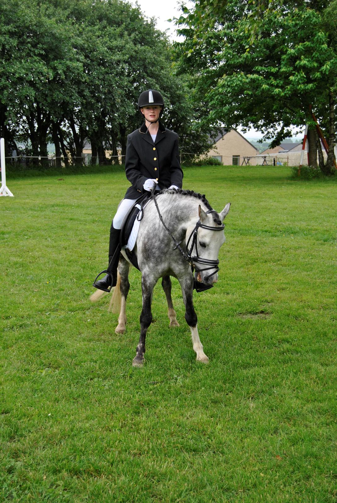 Louise Gregersen & Korreborgs Barolo til dressur stævne. TIL SALG billede 8