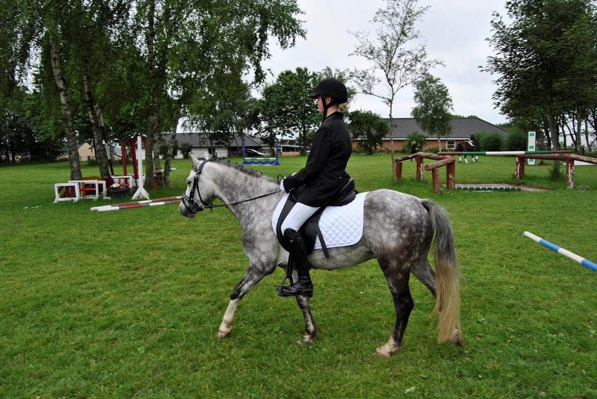Louise Gregersen & Korreborgs Barolo til dressur stævne. TIL SALG billede 9