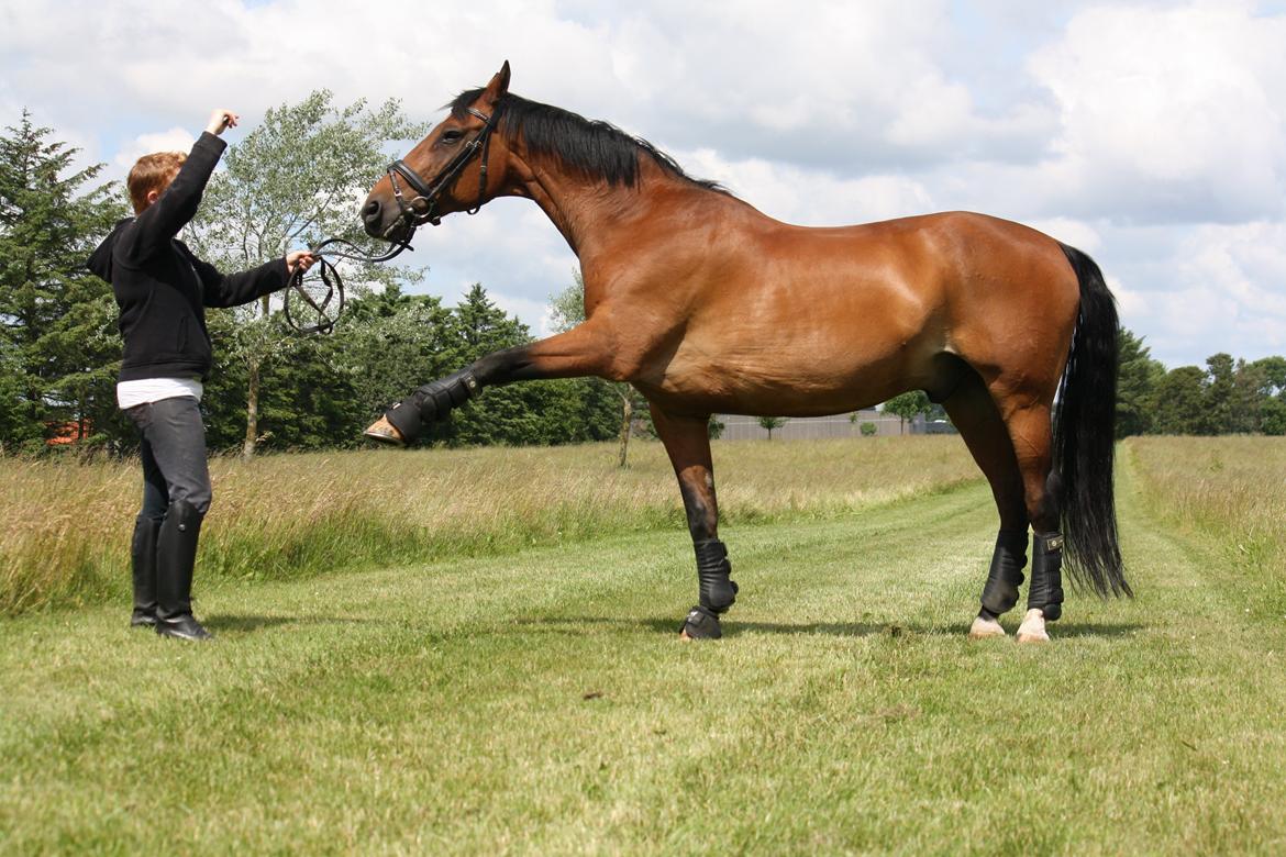 Skønneste Prunse billede 49