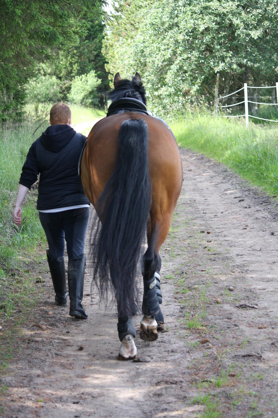 Skønneste Prunse billede 52