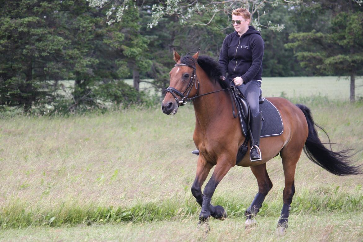 Skønneste Prunse billede 59