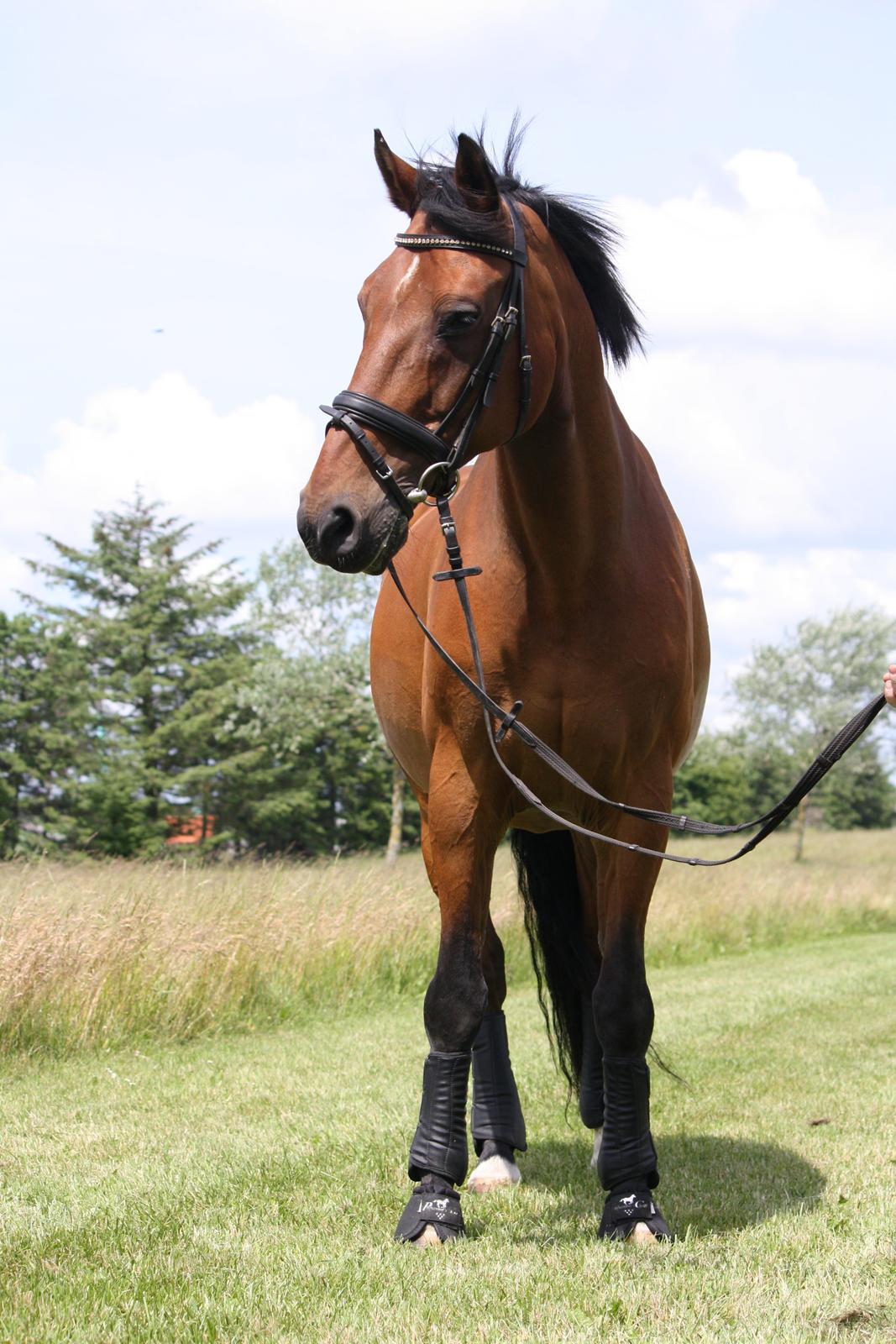 Skønneste Prunse billede 63
