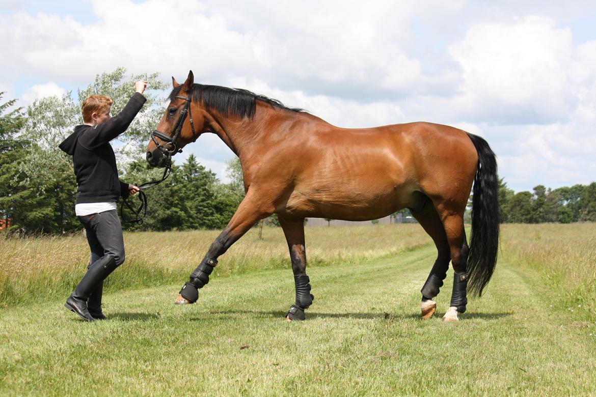 Skønneste Prunse billede 64