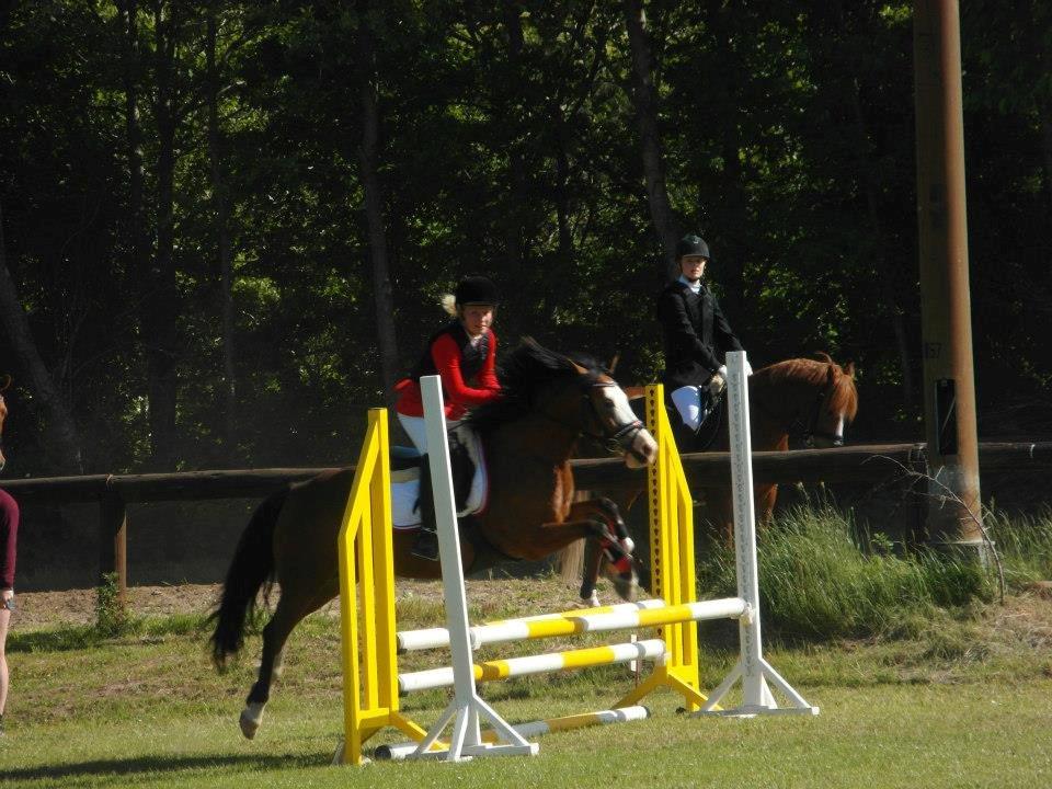 Rebild Sportsrideklub C + D stævne juni billede 1
