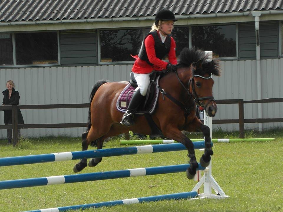 Rebild Sportsrideklub C + D stævne juni billede 2