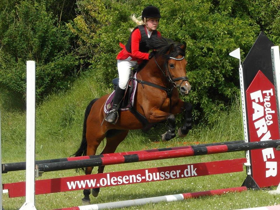 Rebild Sportsrideklub C + D stævne juni billede 4