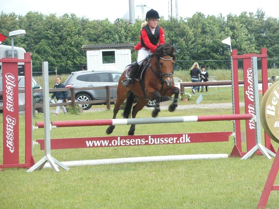 Rebild Sportsrideklub C + D stævne juni billede 6