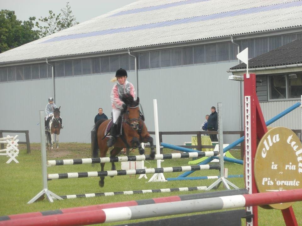 Rebild Sportsrideklub C + D stævne juni billede 7