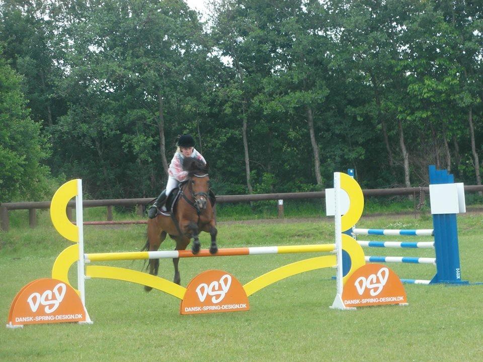 Rebild Sportsrideklub C + D stævne juni billede 8