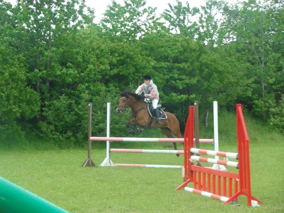 Rebild Sportsrideklub C + D stævne juni billede 9