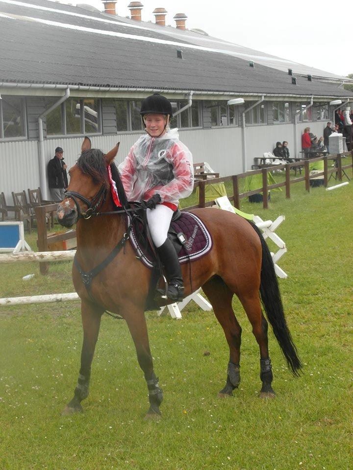 Rebild Sportsrideklub C + D stævne juni billede 10