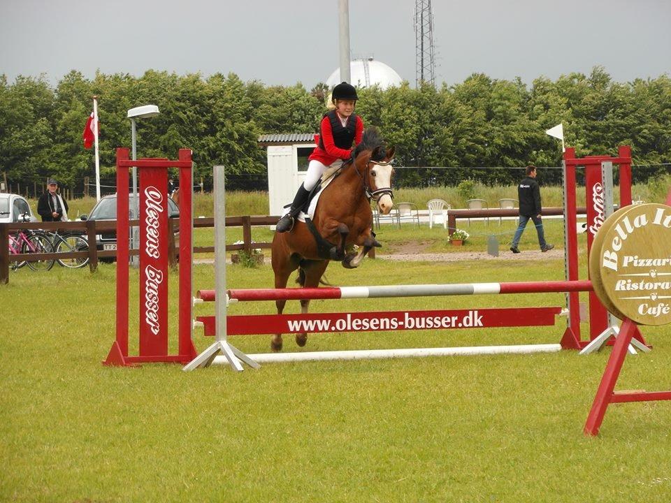 Rebild Sportsrideklub C + D stævne juni billede 11