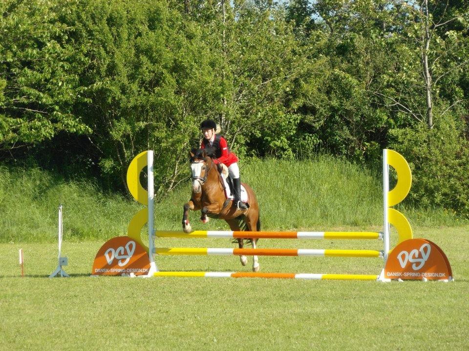 Rebild Sportsrideklub C + D stævne juni billede 15