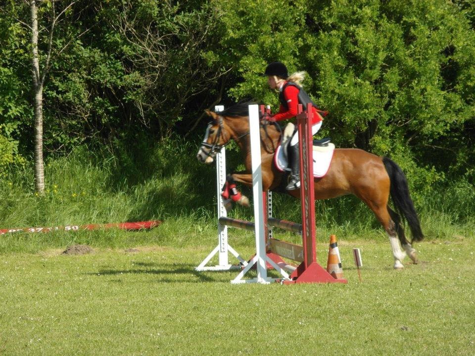 Rebild Sportsrideklub C + D stævne juni billede 17