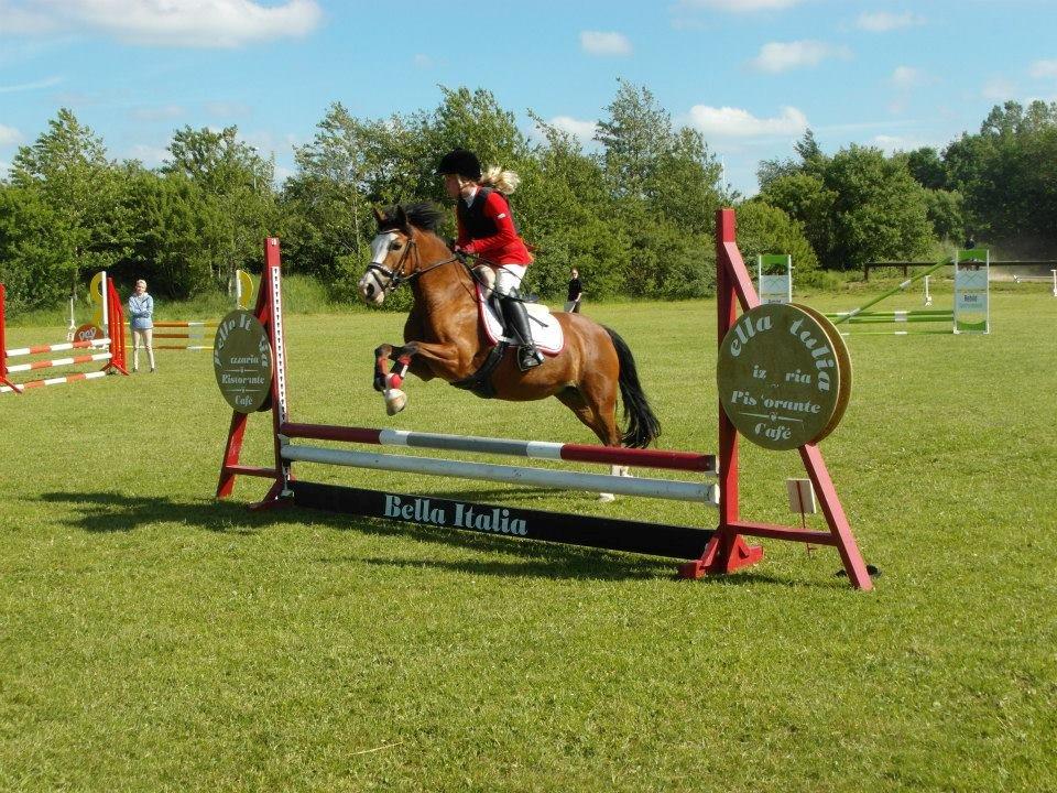 Rebild Sportsrideklub C + D stævne juni billede 18