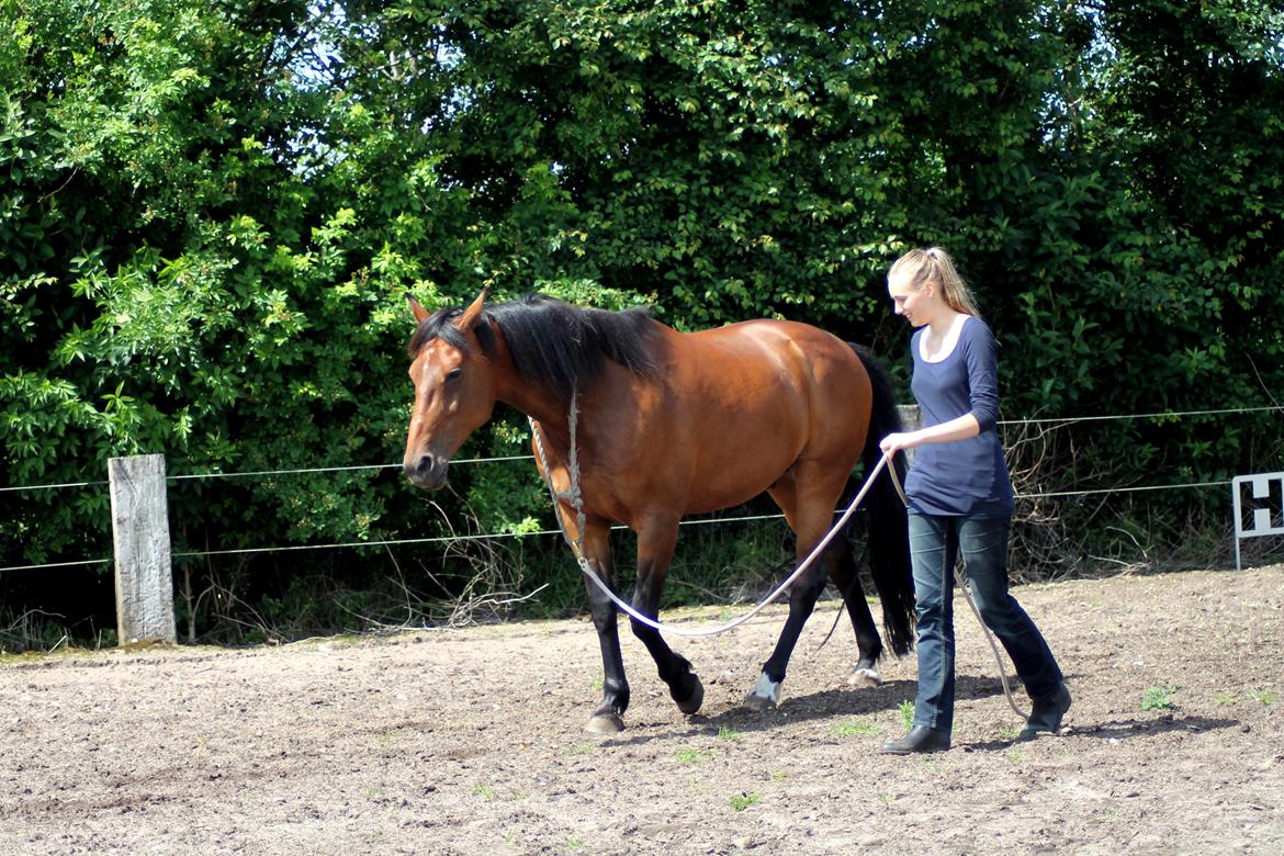 Vores billedebog. - Vi er påbegyndt longering i cordeo <3 billede 90