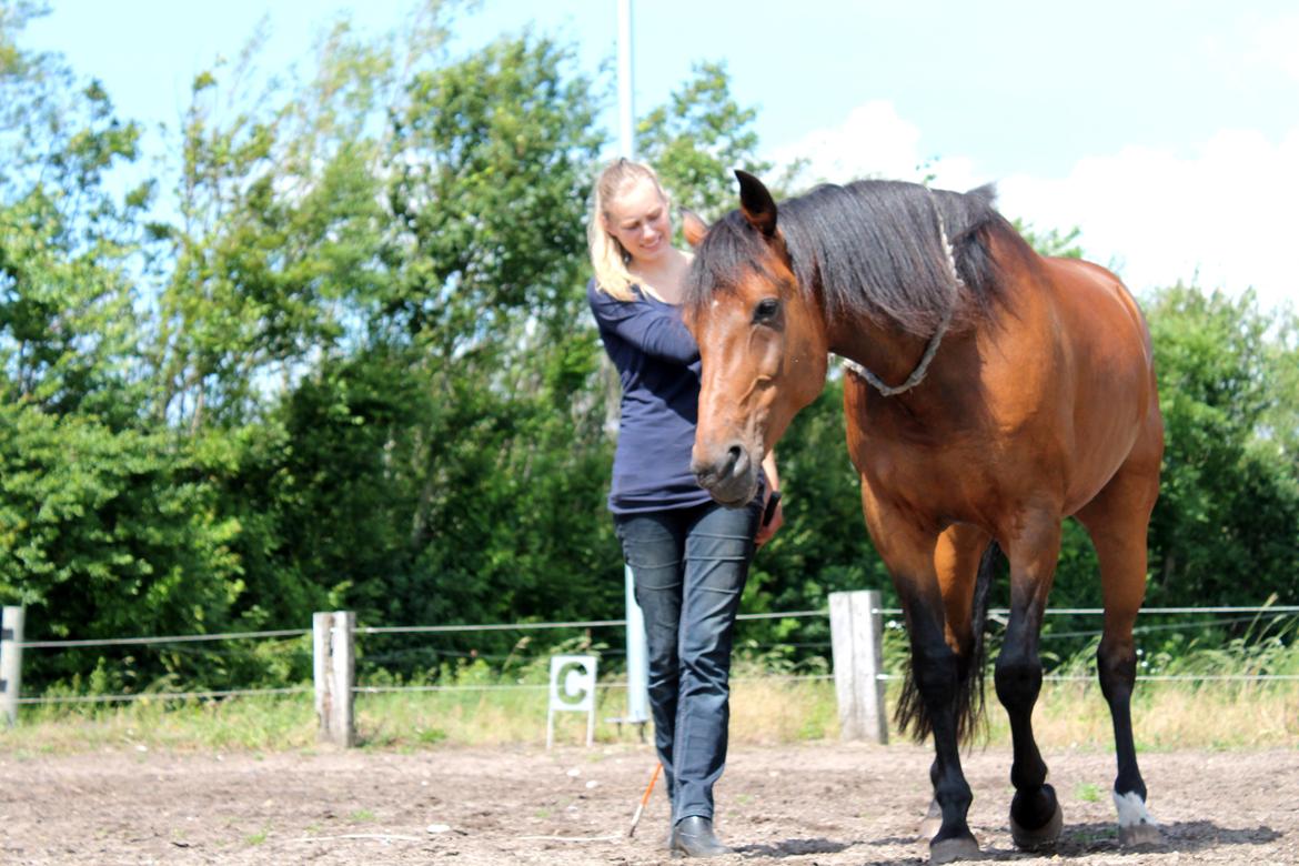 Vores billedebog. - Vi går på volte, kun i cordeo <3 billede 92