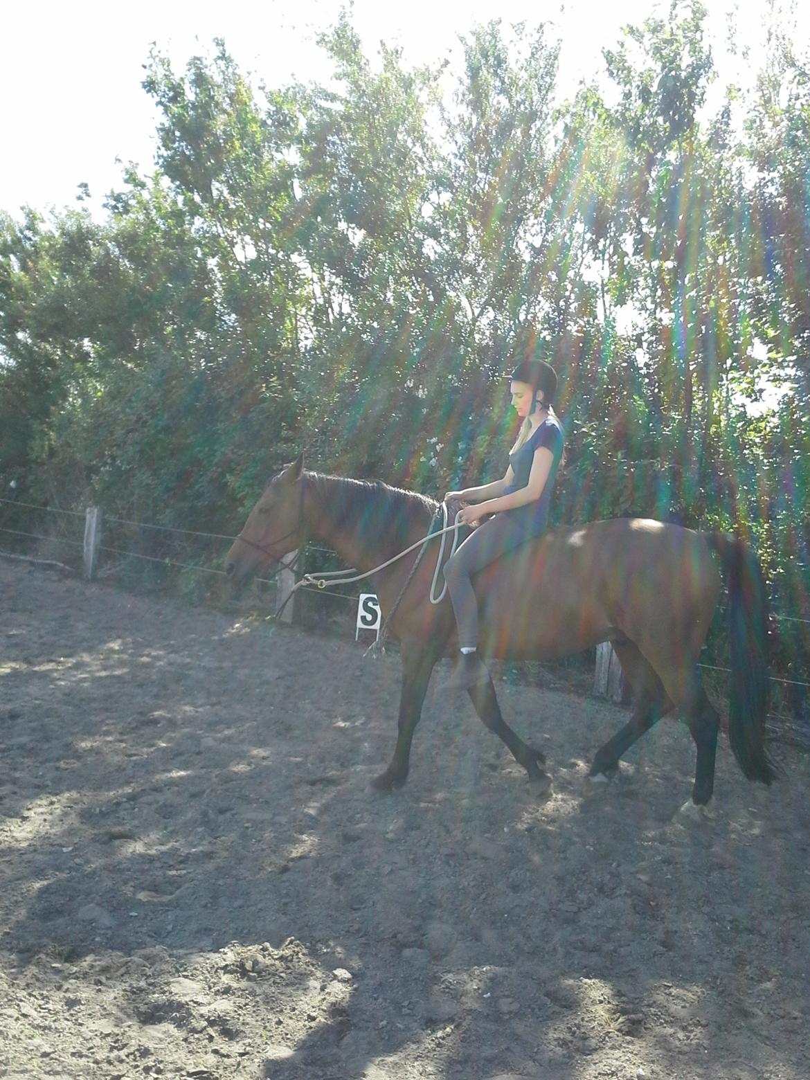 Vores billedebog. - Skridte i rebgrime, her inden vi skridtede i cordeoen, og endda uden sadel! billede 96